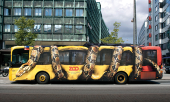 zoo bus